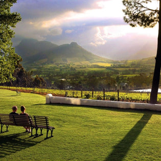  2 people sitting on park bench looking at the mountains in Franschhoek