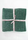 VELVET PILLOWCASE AQUARMINE SET