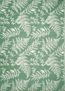  FERN BOTANICAL MEDIUM