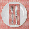 NAPKIN LATTICE SCREEN