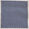 NAPKIN PAINTED STRIPE BLUE