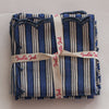NAPKIN PAINTED STRIPE BLUE