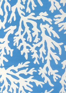  BLUE CORAL MEDIUM